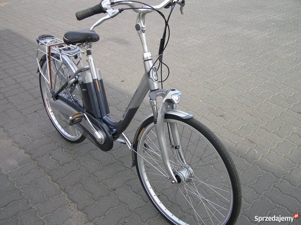 Rower elektryczny Gazelle Easyglider Kampinos