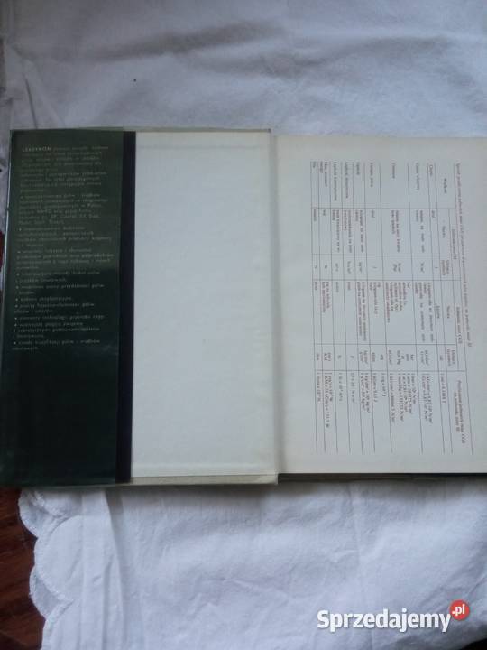 Leksykon paliwa oleje smary technika, nauki techniczne Szczecin