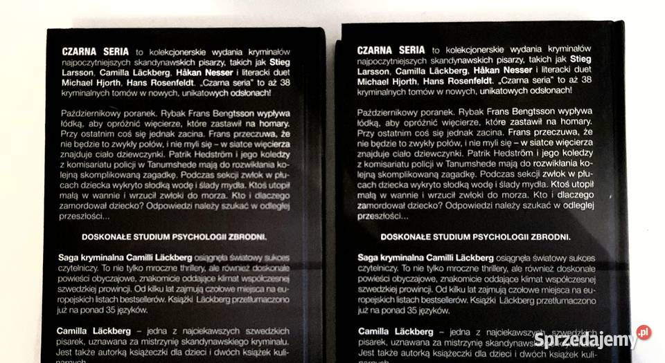 Kamieniarz Camilla Lackberg część 1 i 2 Ruda Śląska sprzedam