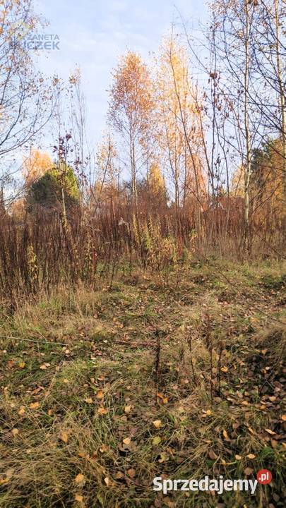 Sprzedam działkę budowlaną z dostępem do rzeki w sprzedam