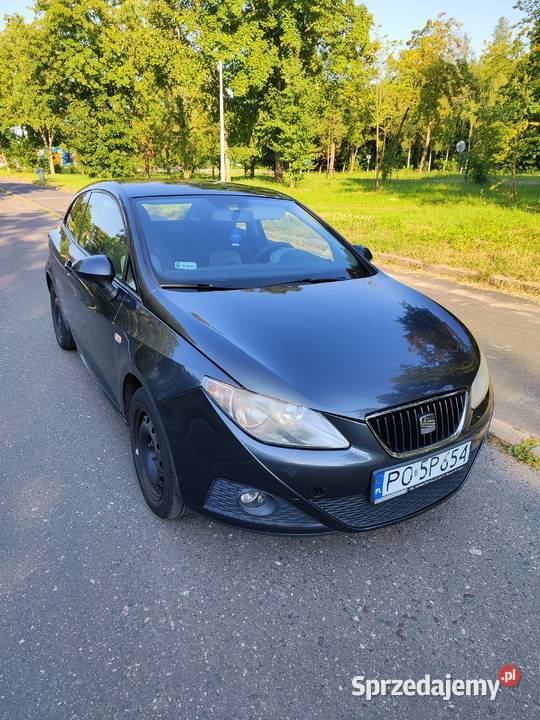 SEAT Ibiza IV Seat Ibiza 2008r 1.4 benzyna, z polskiego salonu, drugi właśc