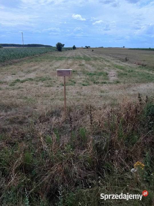 Działka asfalt warmińsko-mazurskie Janowo