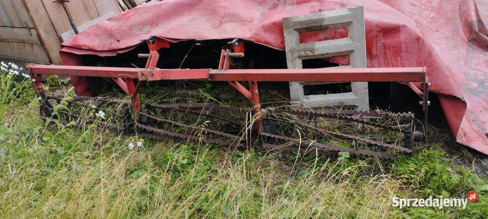 Talerzówka Strumyk 28m łódzkie Łęki Szlacheckie