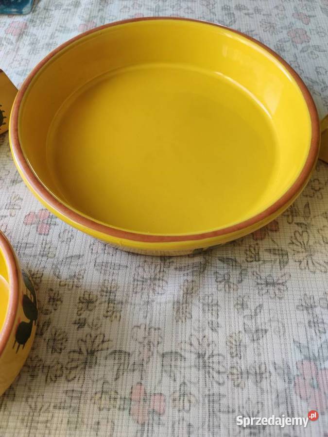 Ceramika wzót kaktusy śląskie