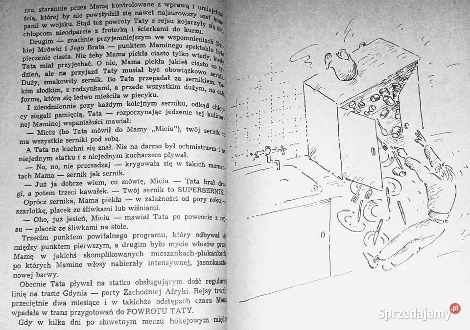 Dzika Mrówka i tam tamy Andrzej Perepeczko Chełm