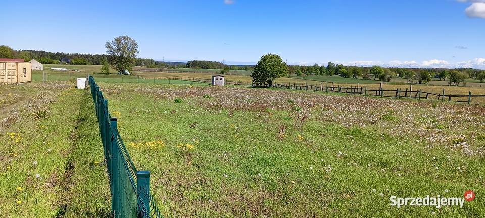 2 działki z WZ w Częstkowie k Szemuda woda Sprzedaż sprzedam