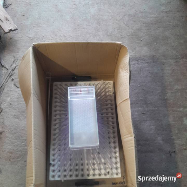 Sprzedam siewnik z multiplatami na 240 komórek świętokrzyskie Jędrzejów