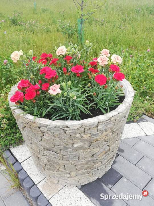 Duża donica z kamienia naturalnego kamień kora Architektura ogrodowa Długołęka-Świerkla