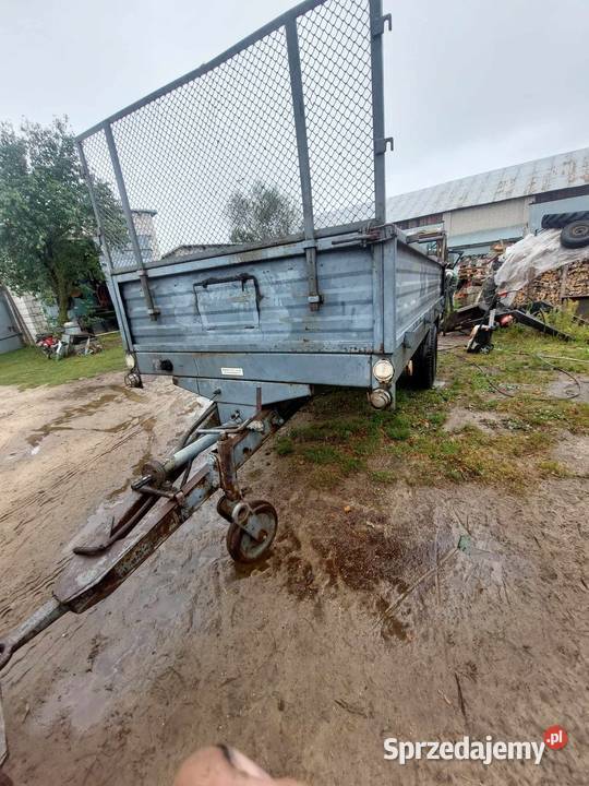 Rozrzutnik Pozostałe Łosice