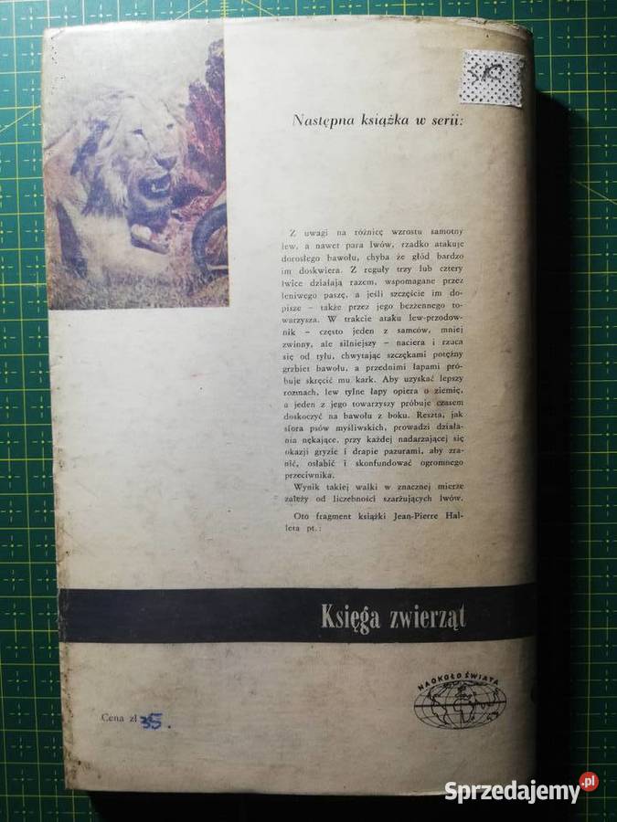 Czeluść Maciej Kuczyński miękka Książki naukowe i popularnonaukowe Kraków