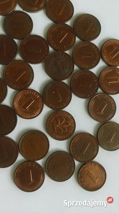 Monety 1 pfening Poznań