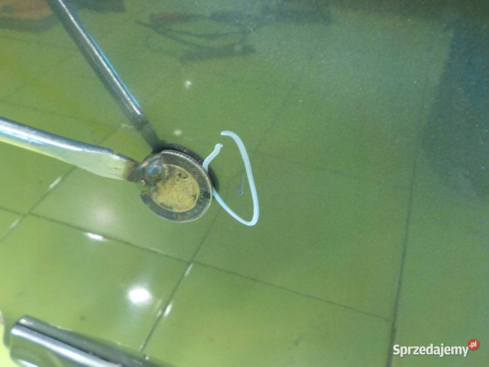 HONDA INSIGHT II 13 IMA AUT 11r 5D drzwi lewe Drzwi