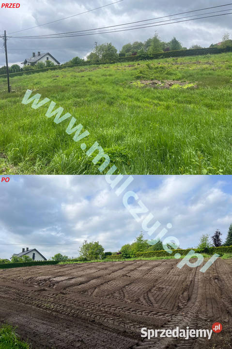 Wycinka drzew Karczowanie rekultywacja działek Kraków