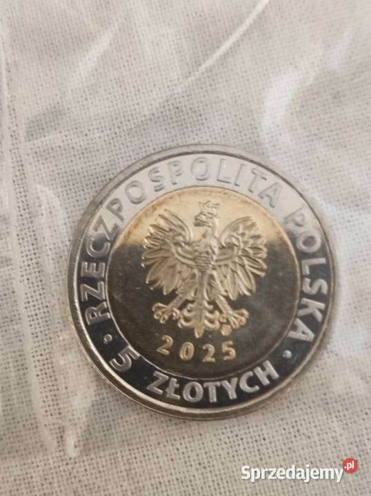 Monety okazjonalne 5 złotych NBP Tykocin Odkryj Wrocław sprzedam