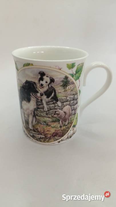 Kubek England pies owczarek collie Zamość sprzedam