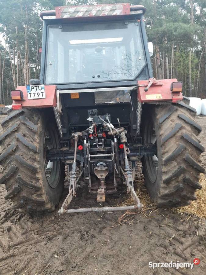 case 4220 wielkopolskie Turek