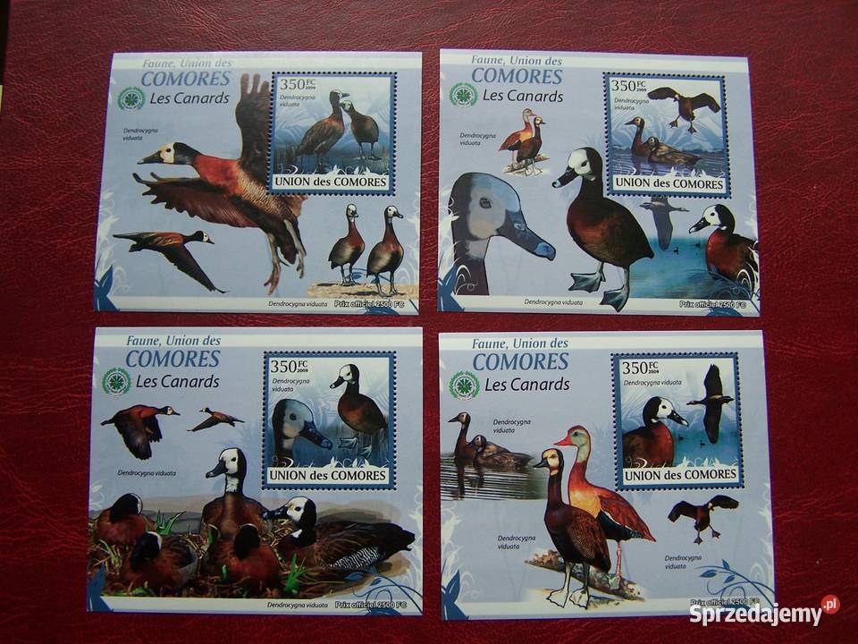 Komory 2009 MNH Fauna Ptaki Kaczki Tychy sprzedam