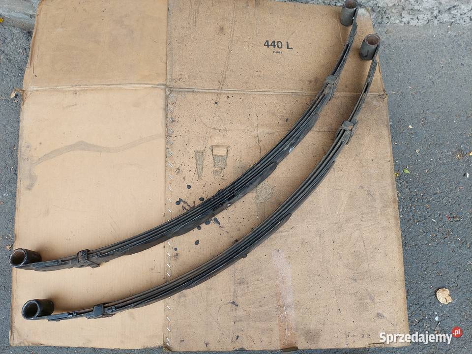 Resory do żuka Mirsk