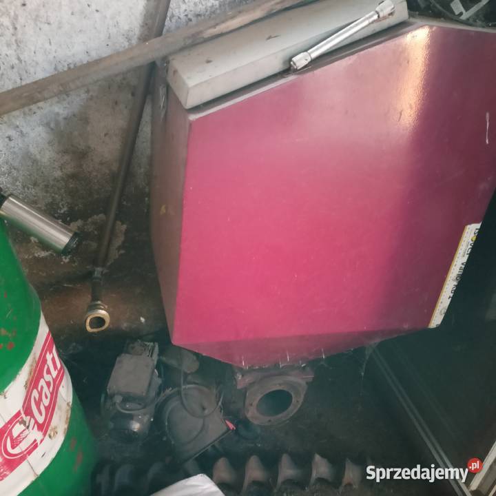 Ekogroszek wielkopolskie Koło