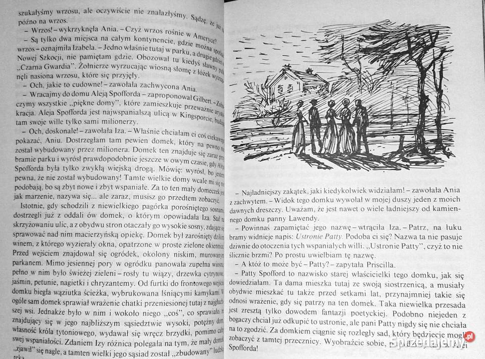 Ania na Uniwersytecie Lucy Maud Montgomery Pozostałe lubelskie Chełm sprzedam