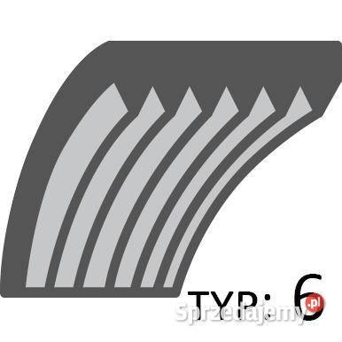 Pasek Weibang WBGT6813TE CZĘŚĆ ORYGINALNA 28x786 Opalenica