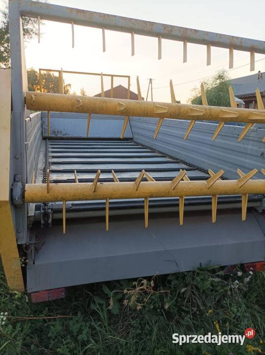 Rozrzutnik nieuszkodzony Radomyśl Wielki