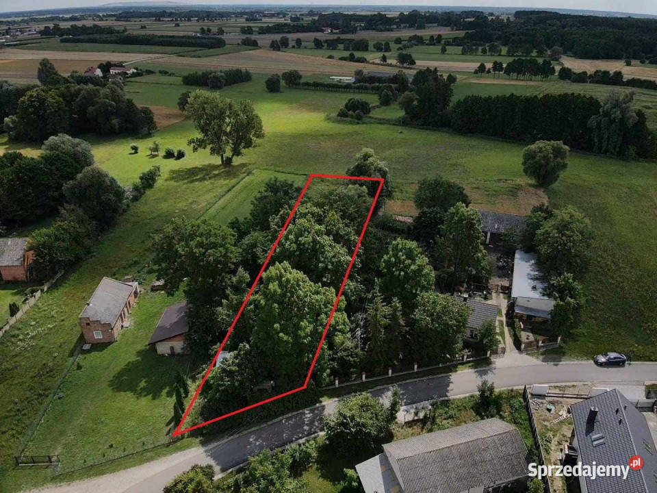 sprzedaży działki Dąbrowa Widawska 2500m2