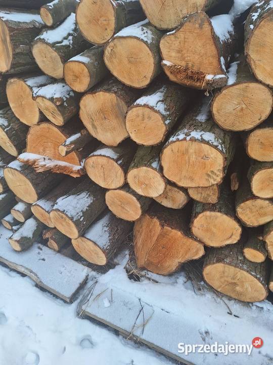 sprzedam metry olszowe Syndyk sprzeda Nockowa