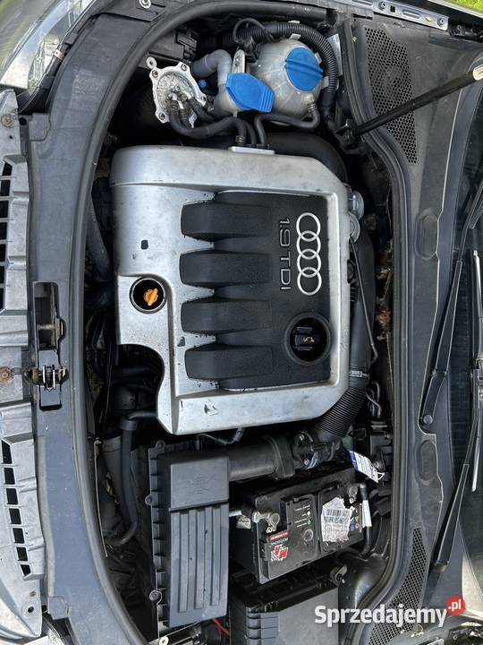 Audi A3 8P 19tdi szary Lubianka