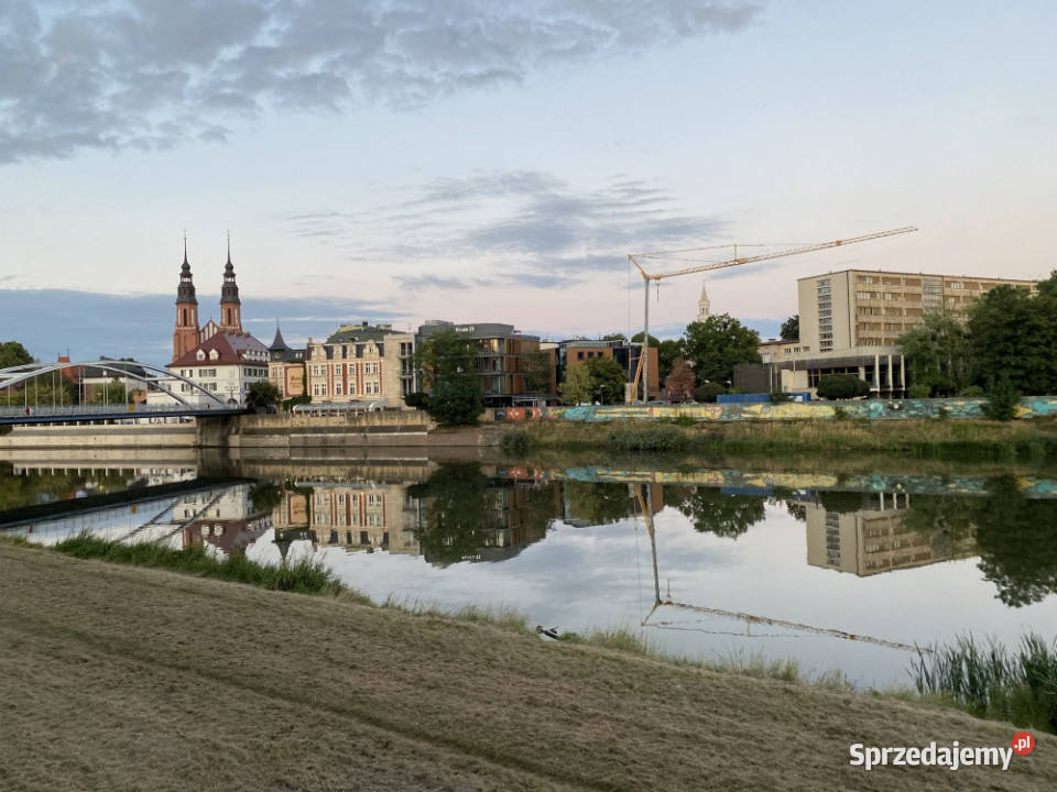 wygodne mieszkanie w centrum i natury Opole