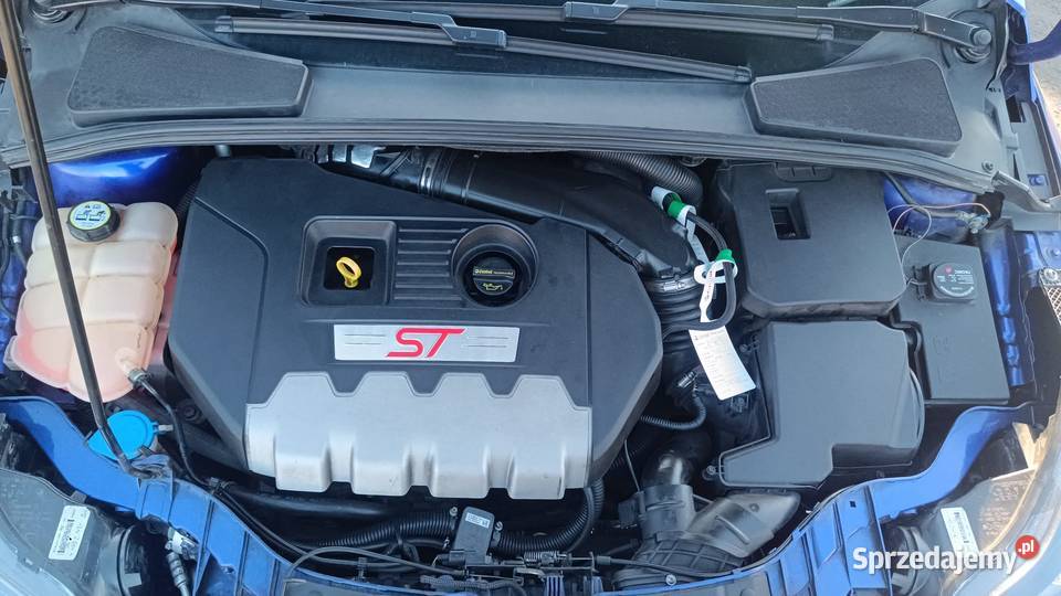 Ford Focus ST 2013r 20t 252