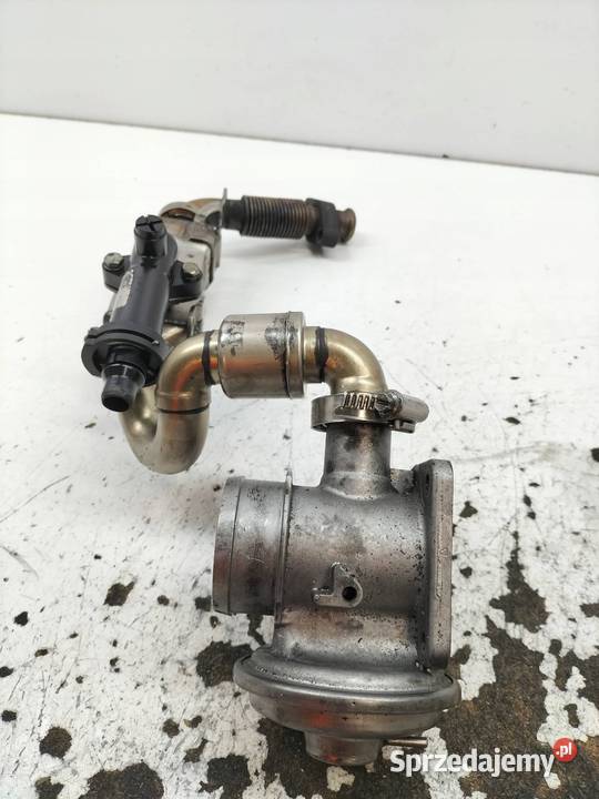 CHŁODNICA SPALIN 778740403 25 30 D M57 Bmw Seria