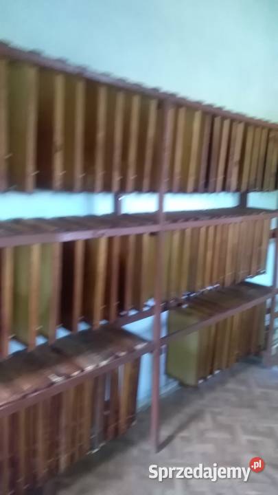 Ule z pszczolami Gany