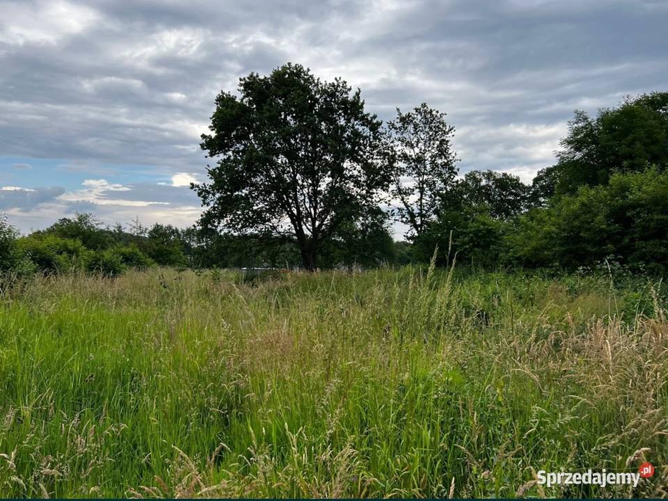 Działka budowlana kolorowe jeziorka Sprzedaż Chełmica