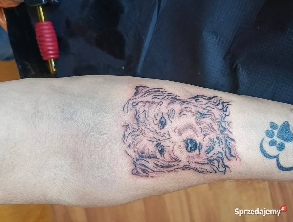 Tatuaże ignorant tattoo 50 proste odświeżanie