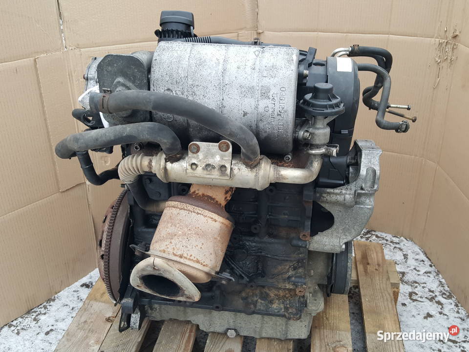 Silnik Vw Caddy III 20 SDI 312 kompletny 08r Rok produkcji 2008 kujawsko-pomorskie Gniewkowo