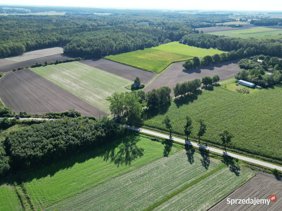 Podrogów piękne działki z WZ w spokojnej okolicy mazowieckie Sokołów Podlaski