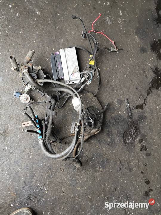 Instalacja gazowa stag 3004 śląskie Czerwionka-Leszczyny