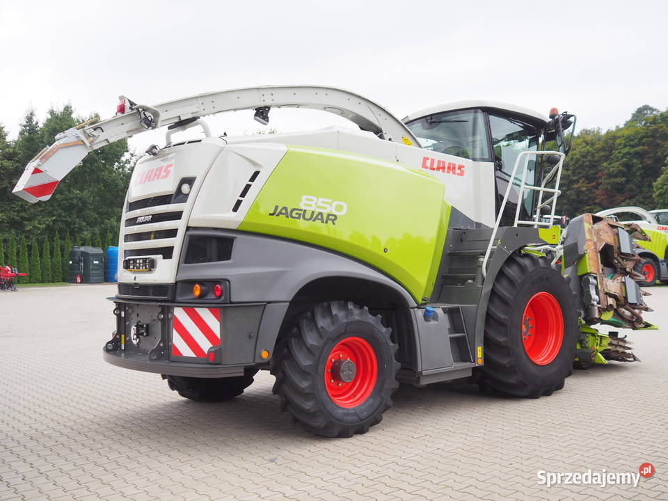 Claas Jaguar 850 4WD Orbis 600 SD Sieczkarnia Przystawka do kukurydzy Stęszew sprzedam