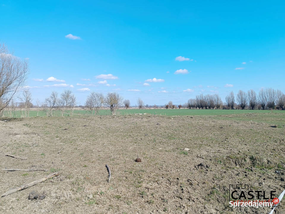 Markusy I 17 Elbląga I pod budowę 1064m2 Sprzedaż sprzedam