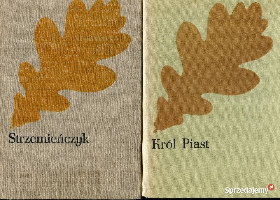Strzemieńczyk Kraszewski Szczecin