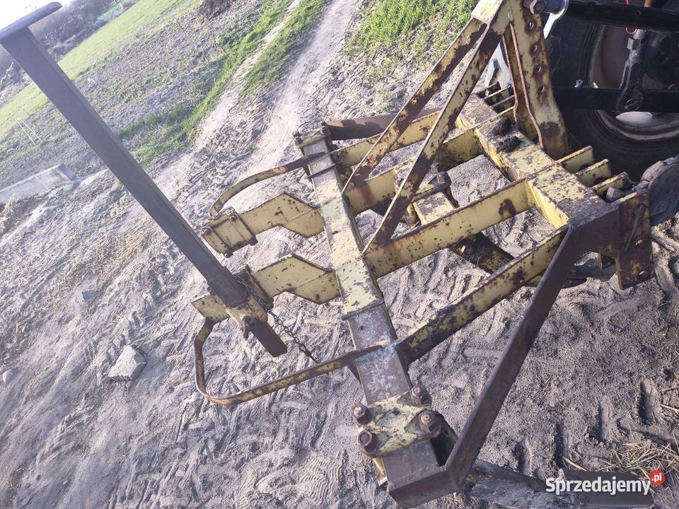 Głębosz trójka Dryja