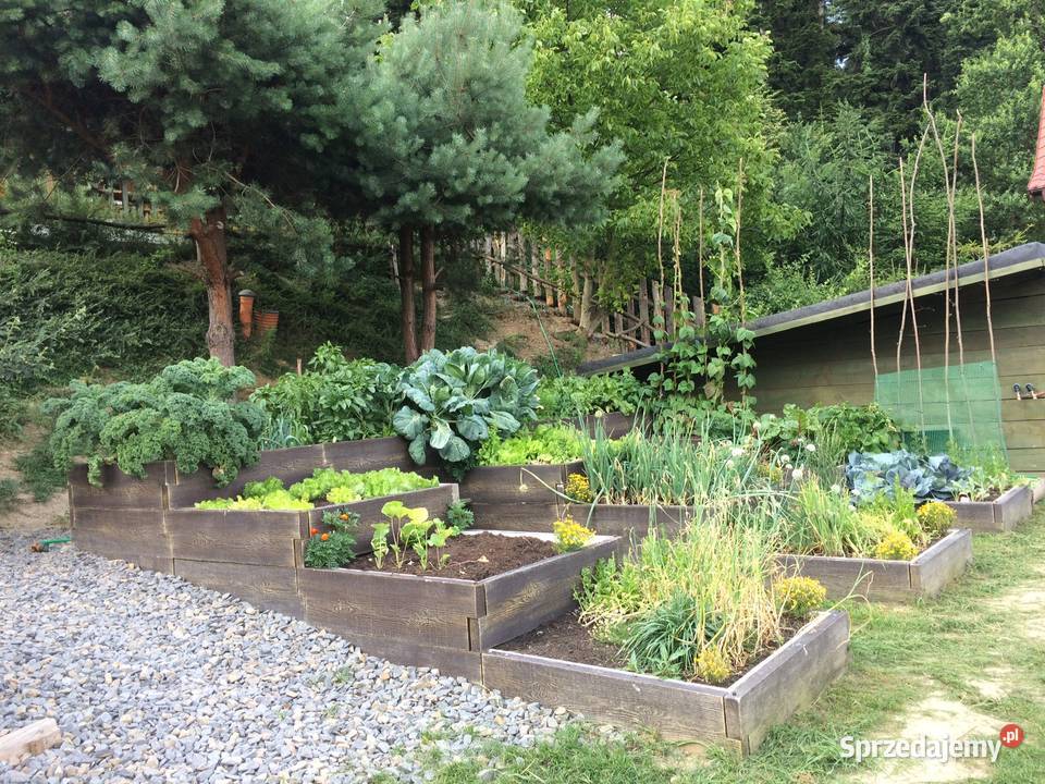 Trwały warzywnik ogrodowy skrzynie na warzywa Górno