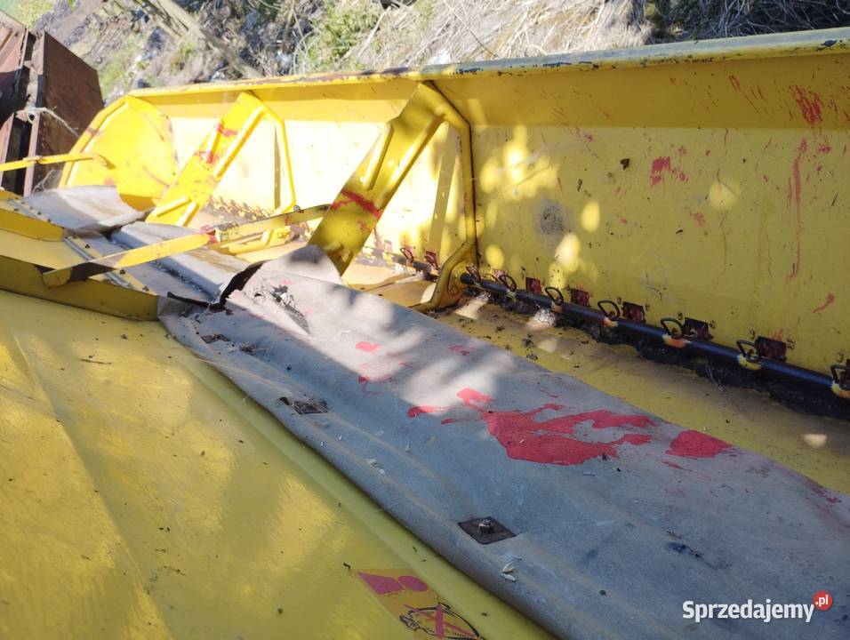 Siewnik zbożowy saxonia Markusy