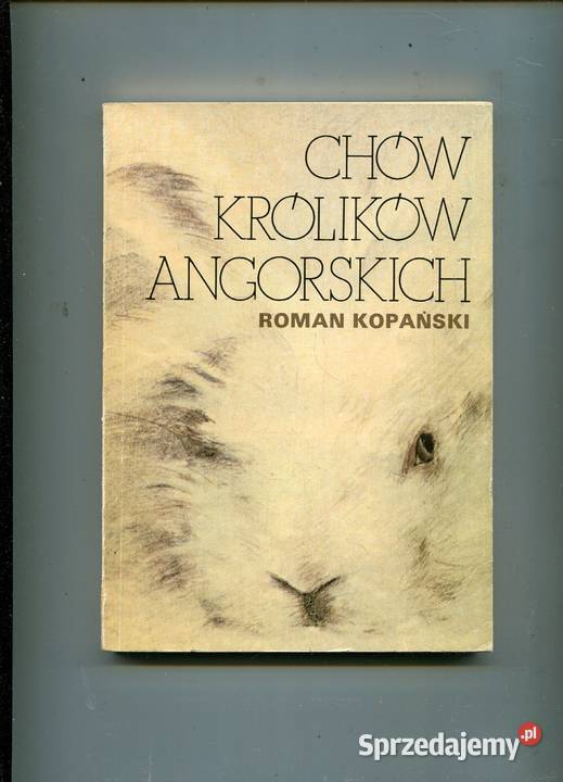 Chów królików angorskich Kopański Szczecin