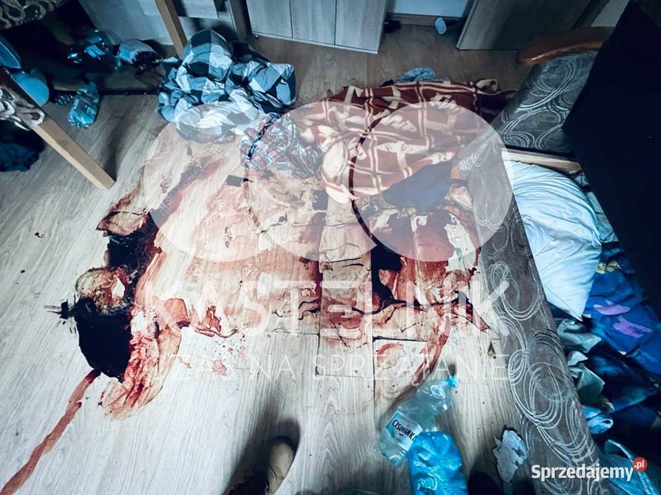 Sprzątanie zgonach Złotoryja Kastelnik