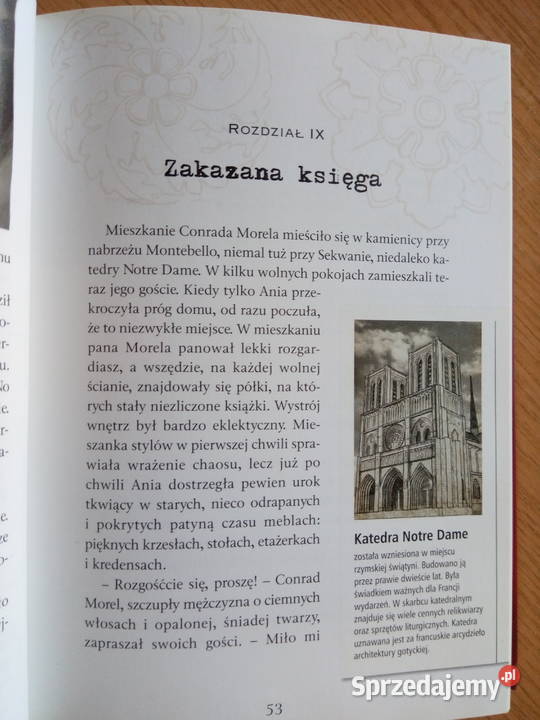Kroniki Archeo Szyfr Jazona książka młodzieżowa twarda