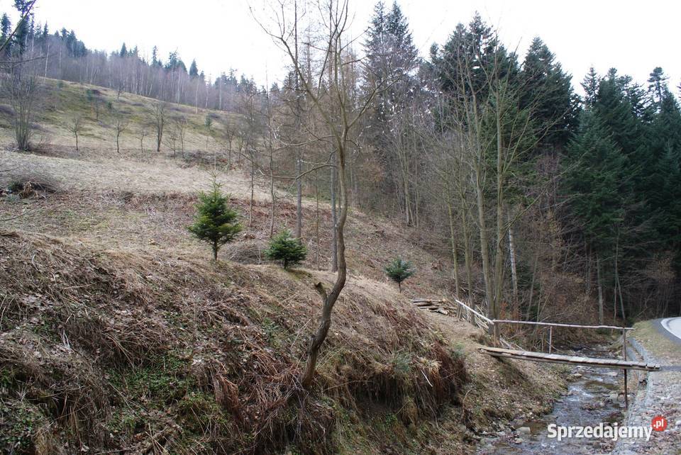 Działka w górach Idealne miejsce na wyciszenie utwardzona Sprzedaż małopolskie