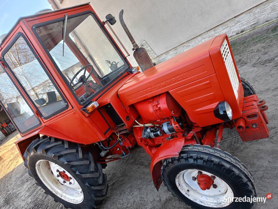 Władymirec T25 oryginał Gwizdów