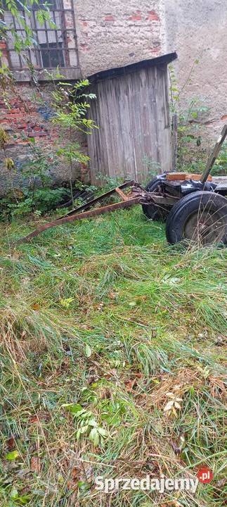 Wozy konne i przyczepka Jelenia Góra